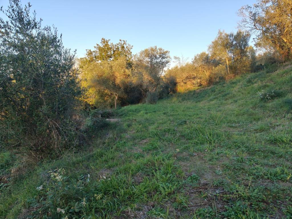 immagine annuncio 1 di 2