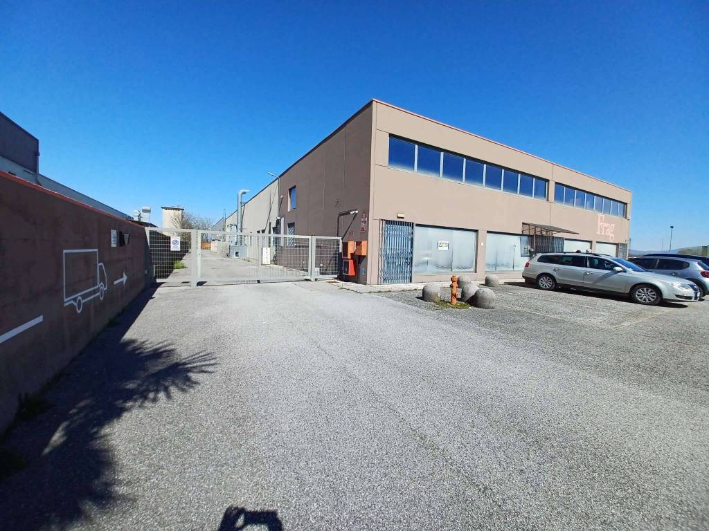 immagine annuncio 2 di 5