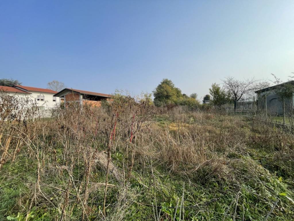 immagine annuncio 3 di 4