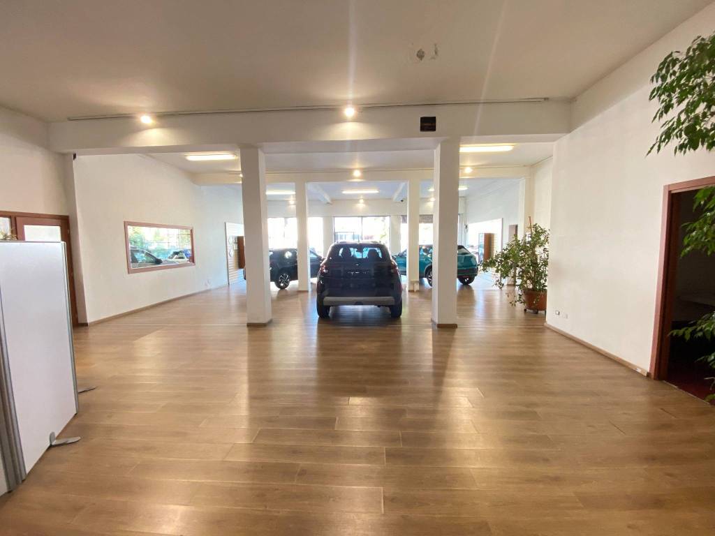 immagine annuncio 4 di 5