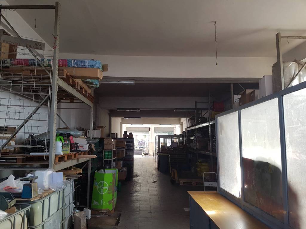 immagine annuncio 2 di 5