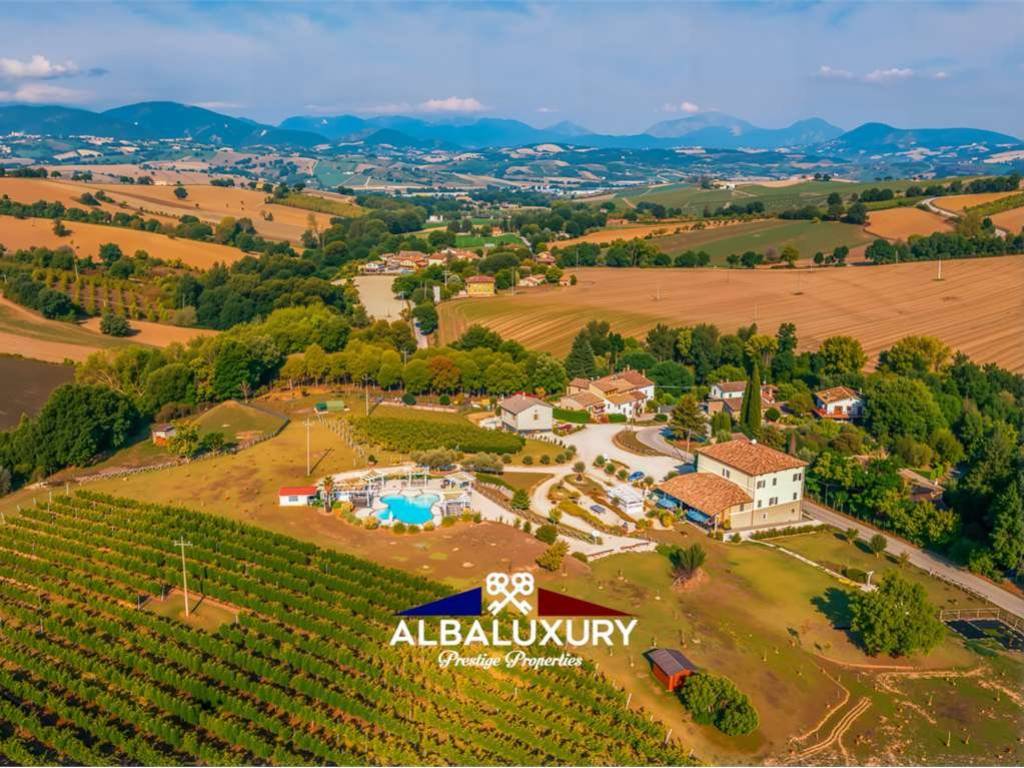 immagine annuncio 3 di 5