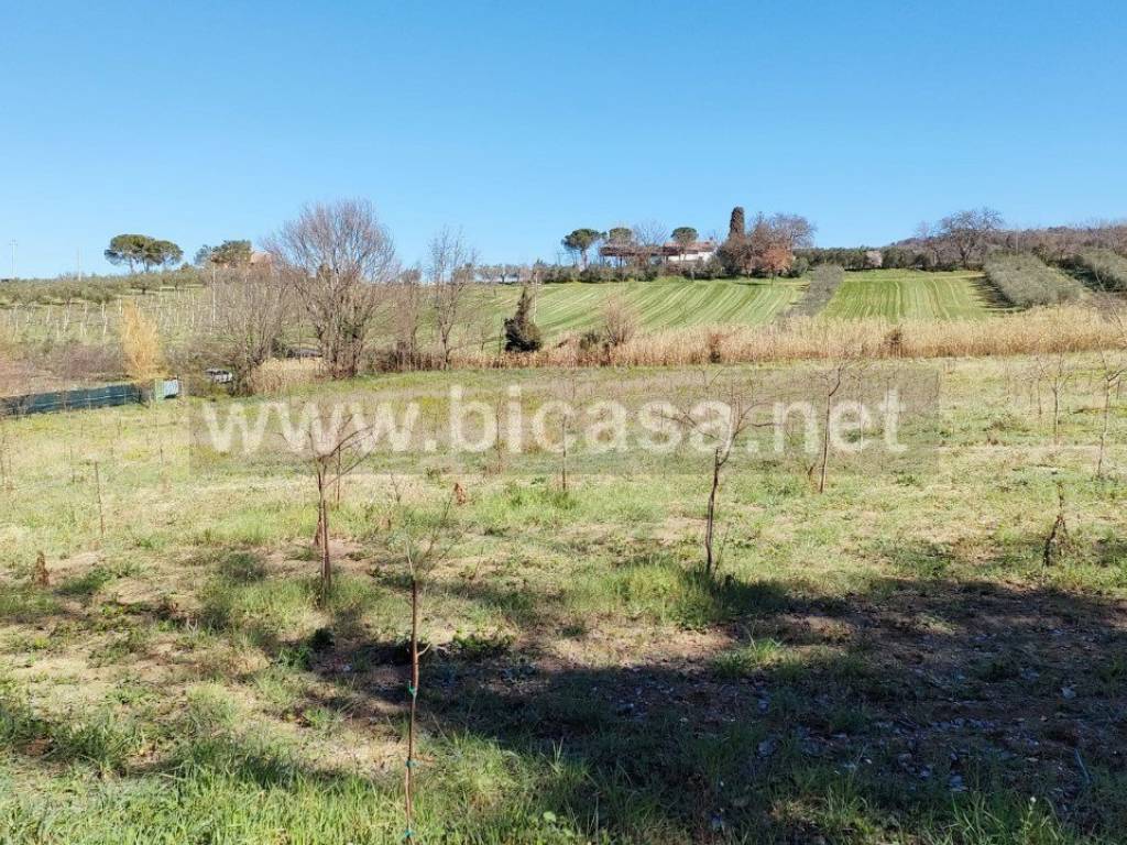 immagine annuncio 1 di 2