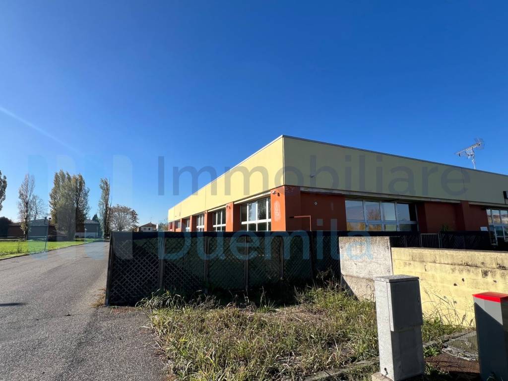 immagine annuncio 3 di 5