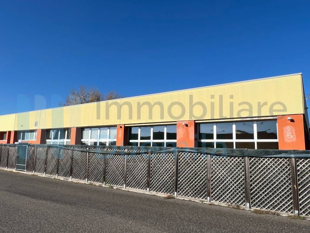 immagine annuncio 4 di 5