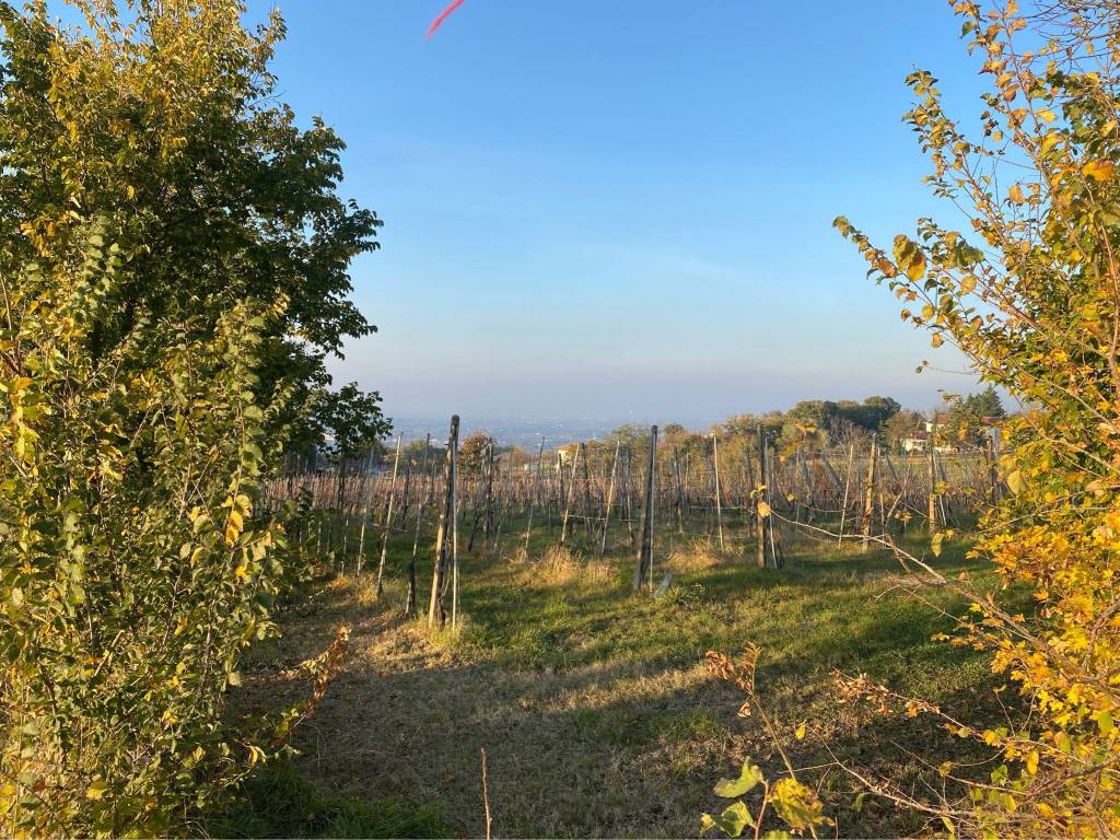 immagine annuncio 1 di 3