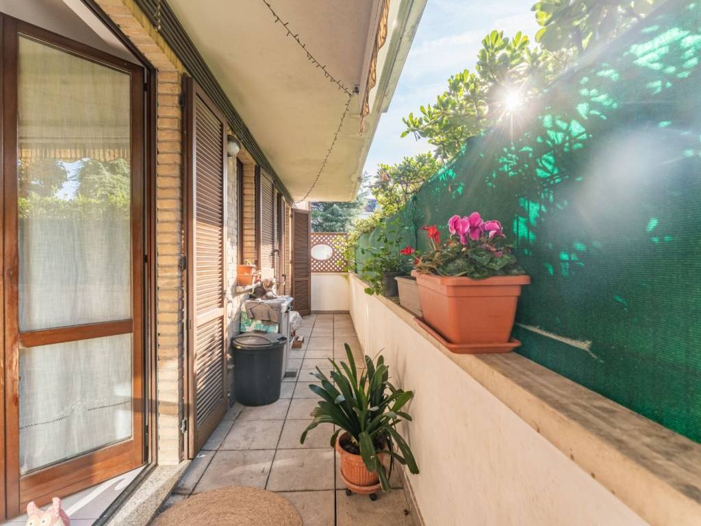 immagine annuncio 2 di 5