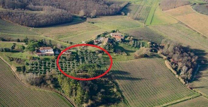 immagine annuncio 3 di 5