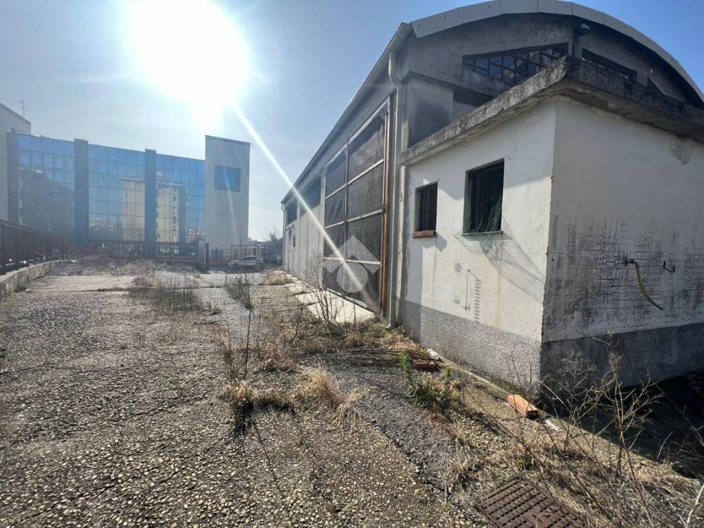 immagine annuncio 2 di 5