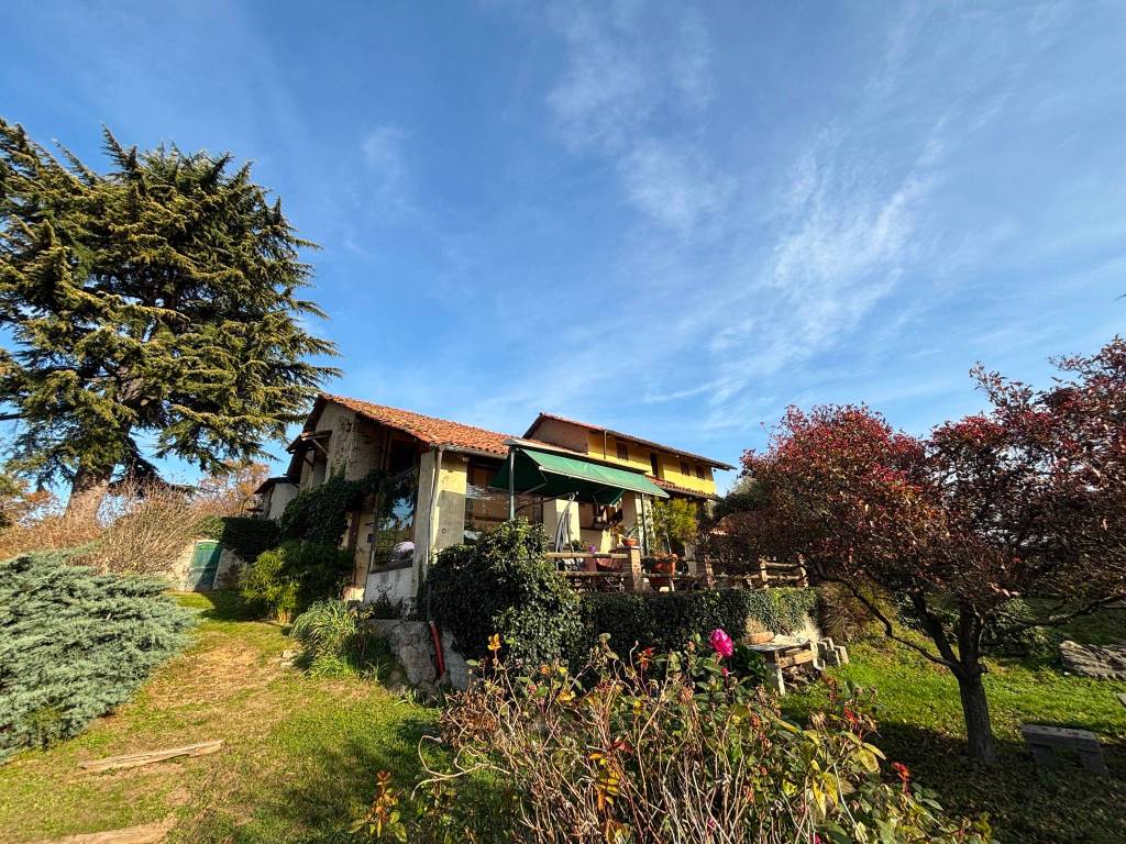 immagine annuncio 2 di 5