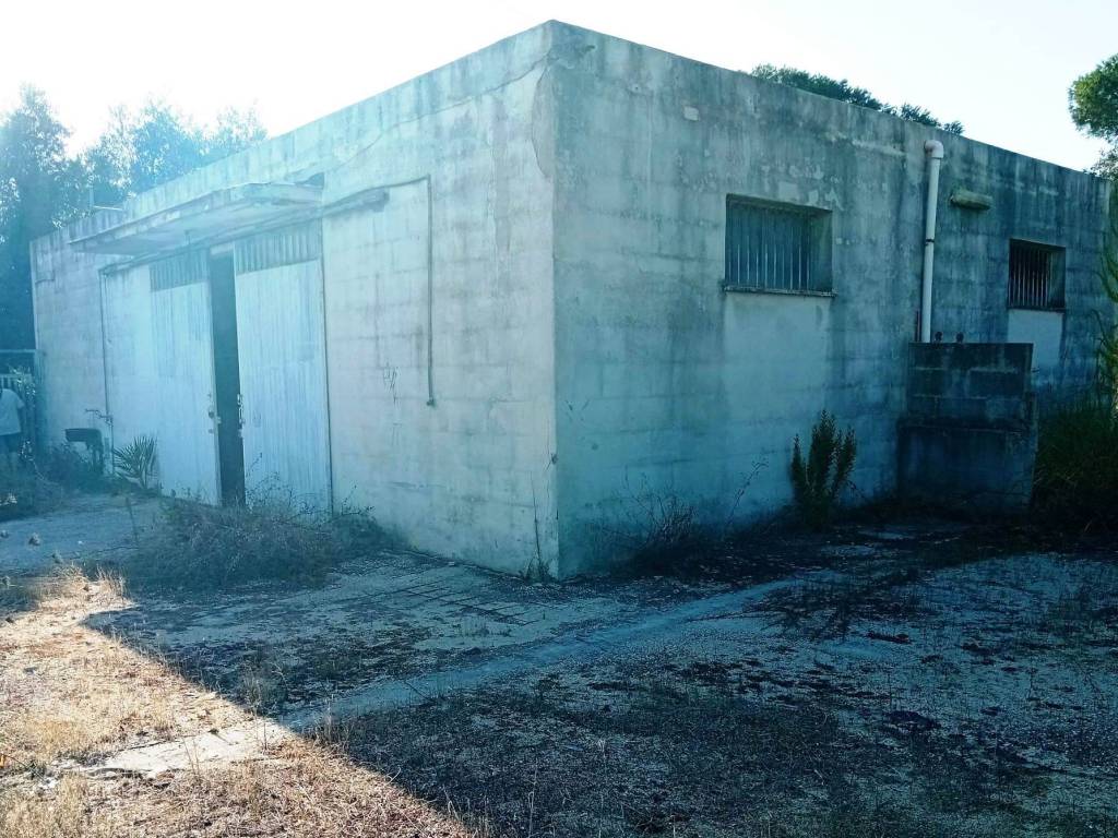 immagine annuncio 3 di 5