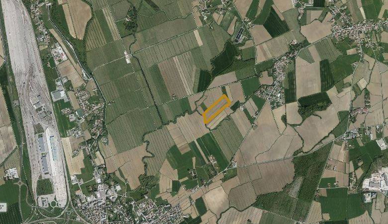 immagine annuncio 1 di 3