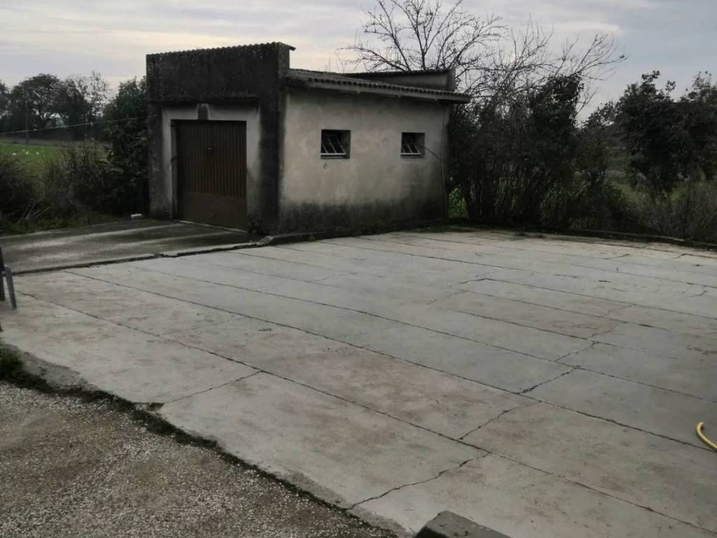 immagine annuncio 2 di 4