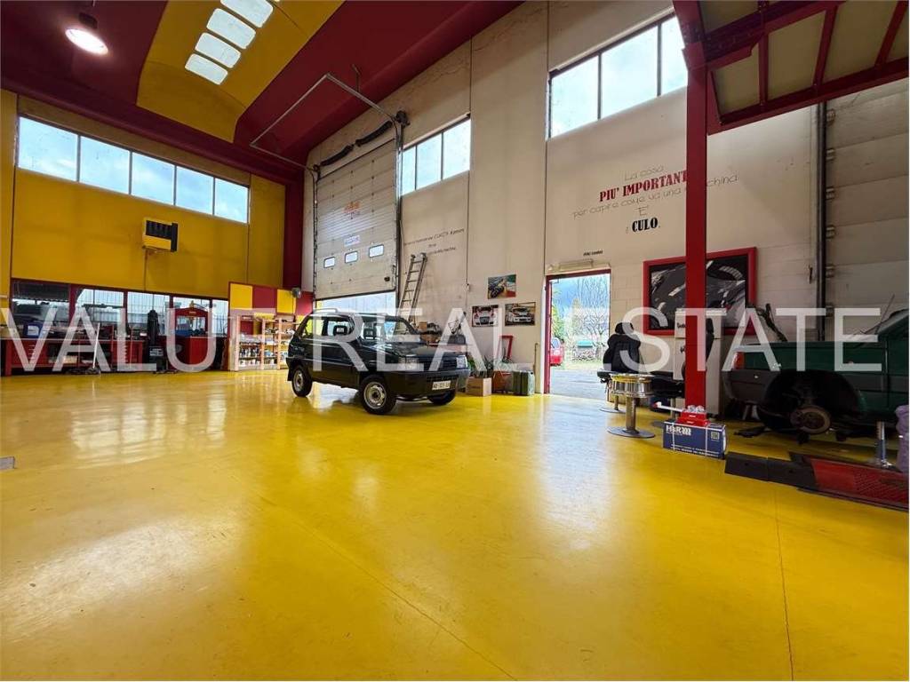 immagine annuncio 1 di 5