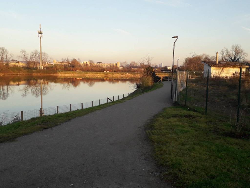 immagine annuncio 4 di 5