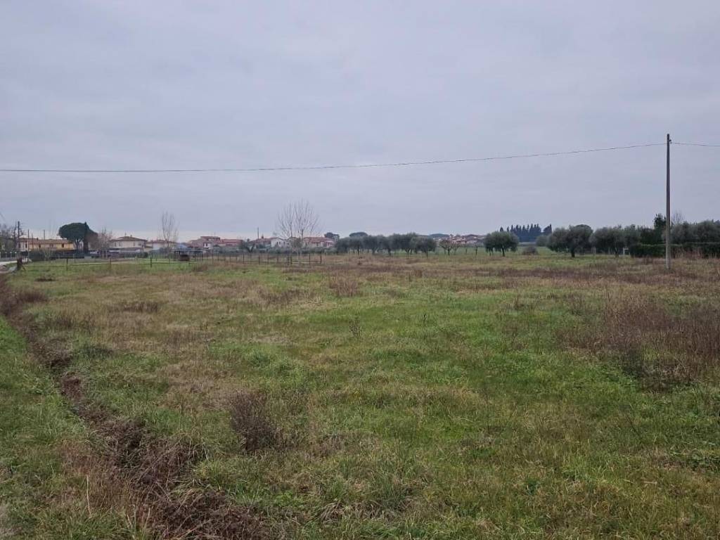 immagine annuncio 1 di 2