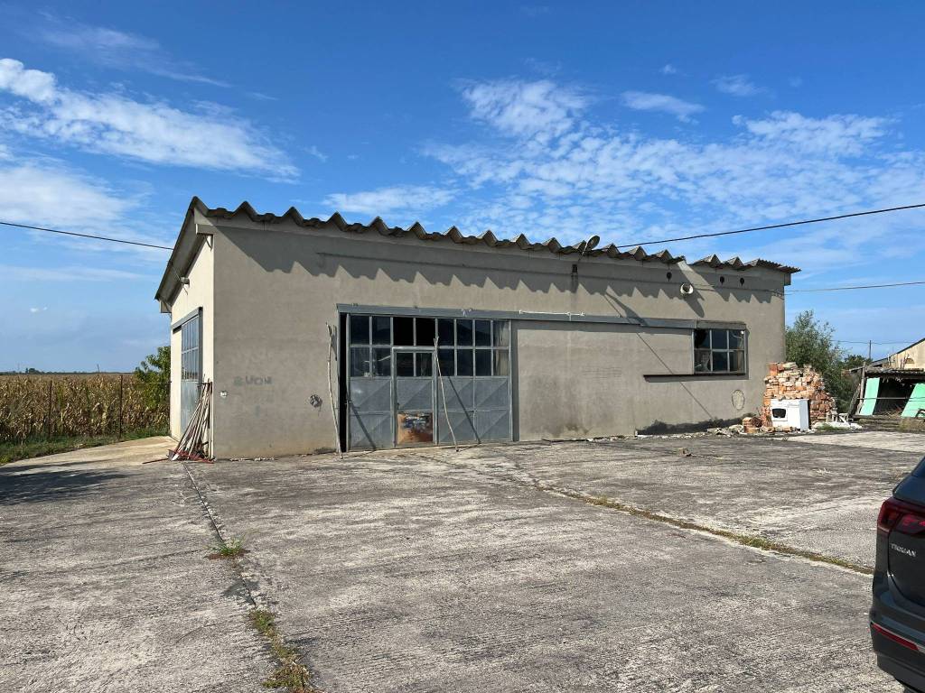 immagine annuncio 1 di 5