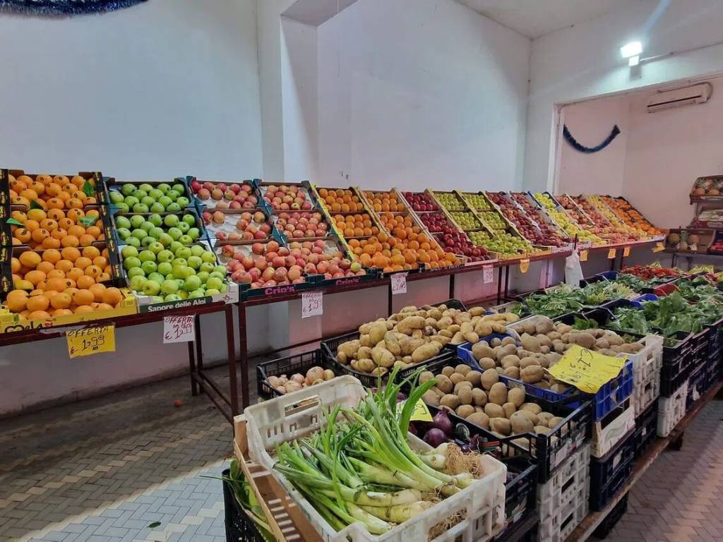 immagine annuncio 1 di 4