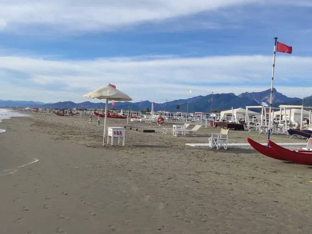 immagine annuncio 1 di 2