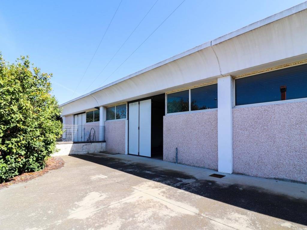 immagine annuncio 2 di 5