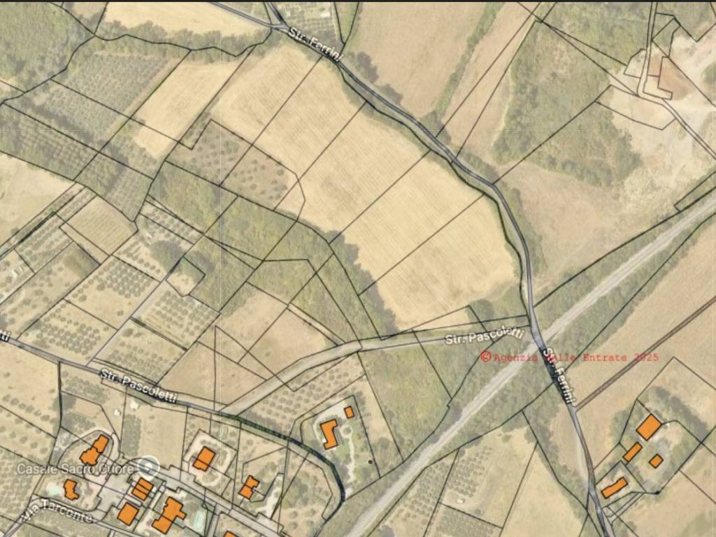 immagine annuncio 2 di 4