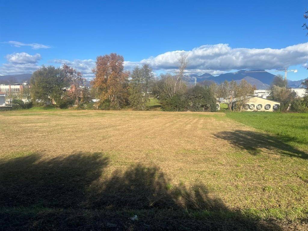 immagine annuncio 3 di 4