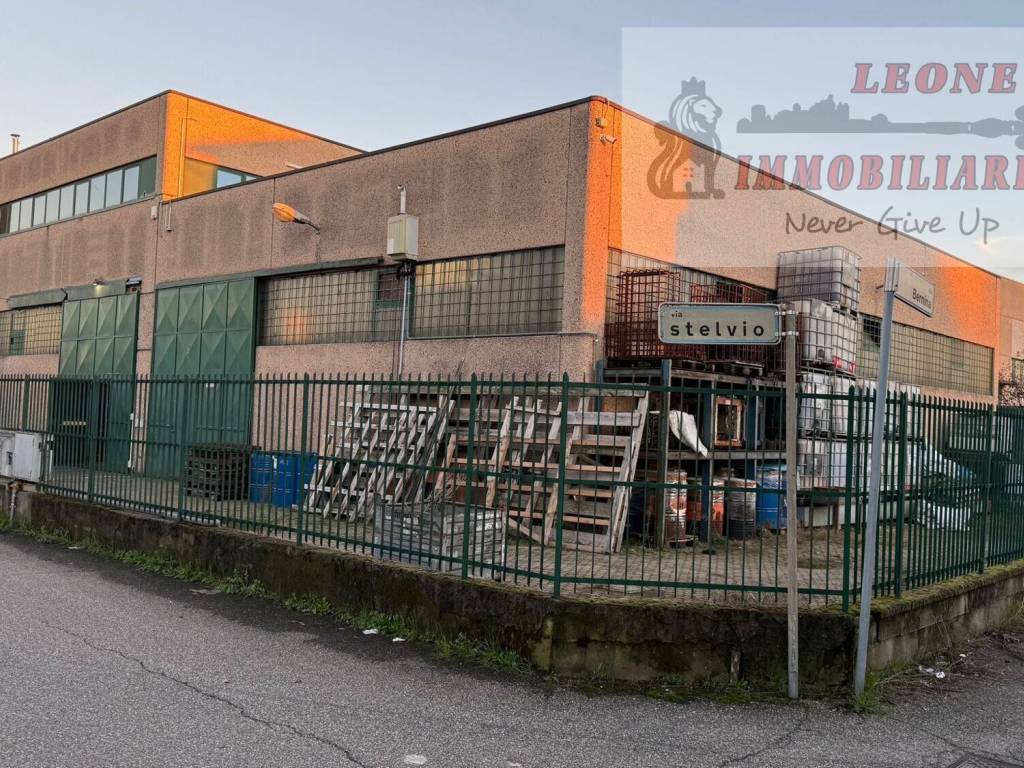 immagine annuncio 1 di 5