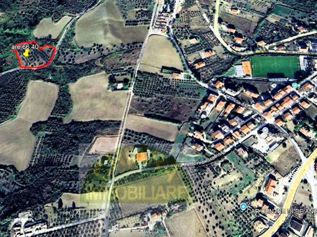 immagine annuncio 2 di 4