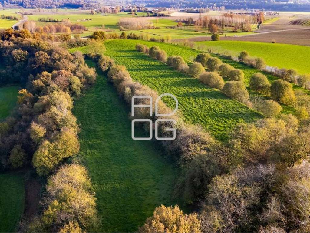 immagine annuncio 1 di 3