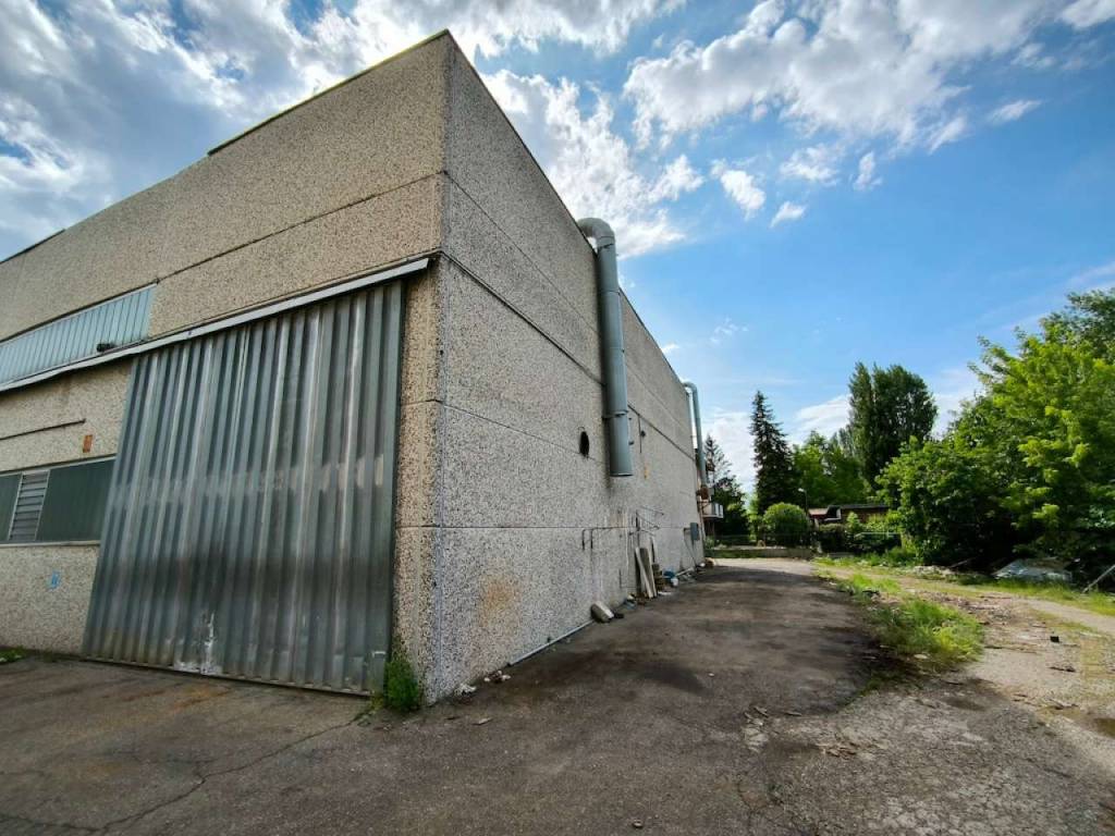 immagine annuncio 3 di 5