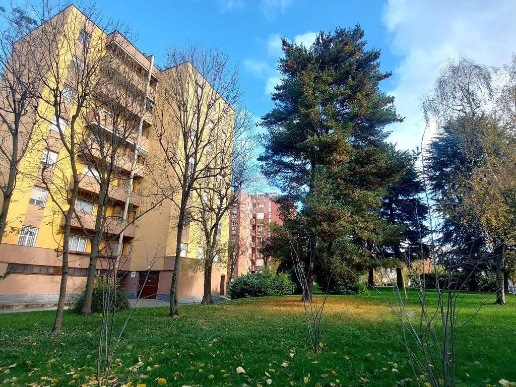 immagine annuncio 1 di 5