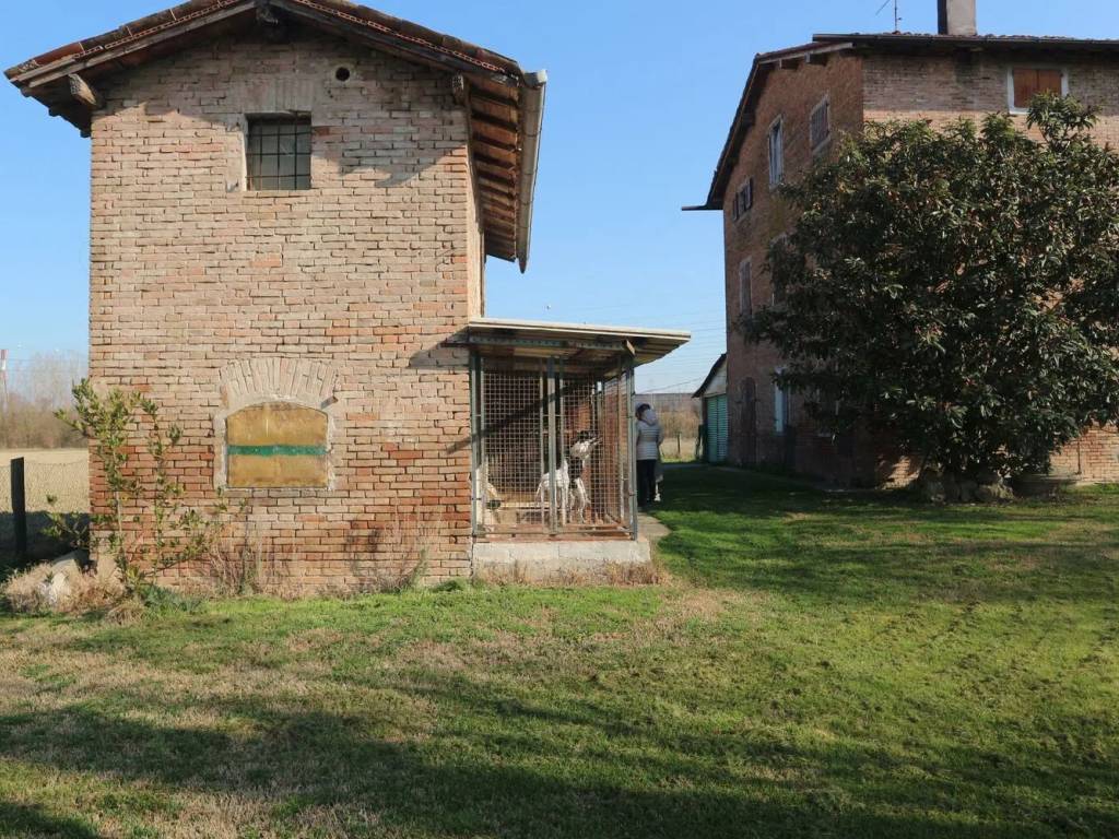 immagine annuncio 4 di 5