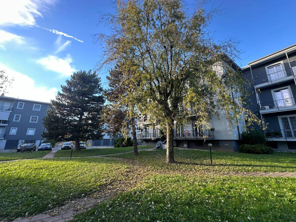 immagine annuncio 2 di 5