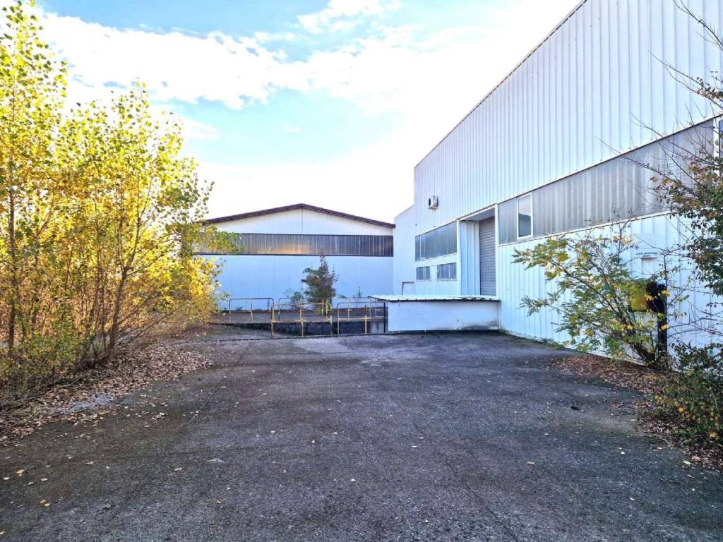 immagine annuncio 1 di 5