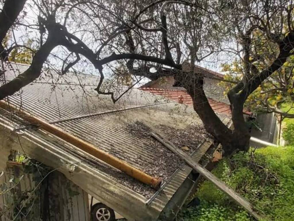 immagine annuncio 2 di 4