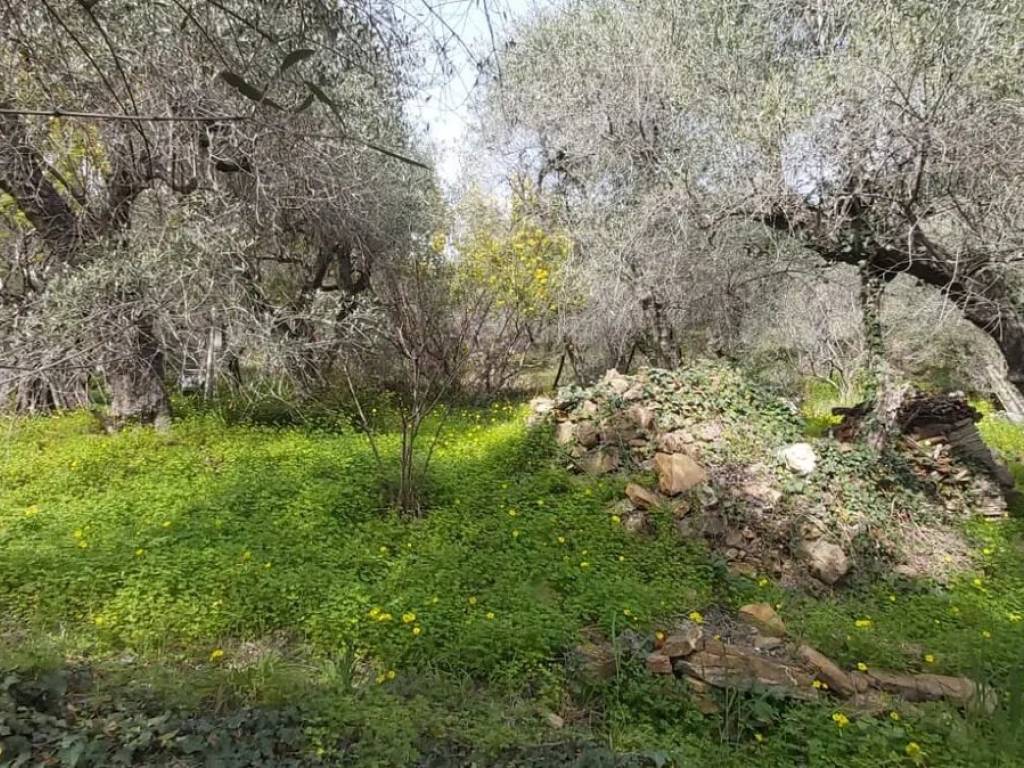 immagine annuncio 3 di 4