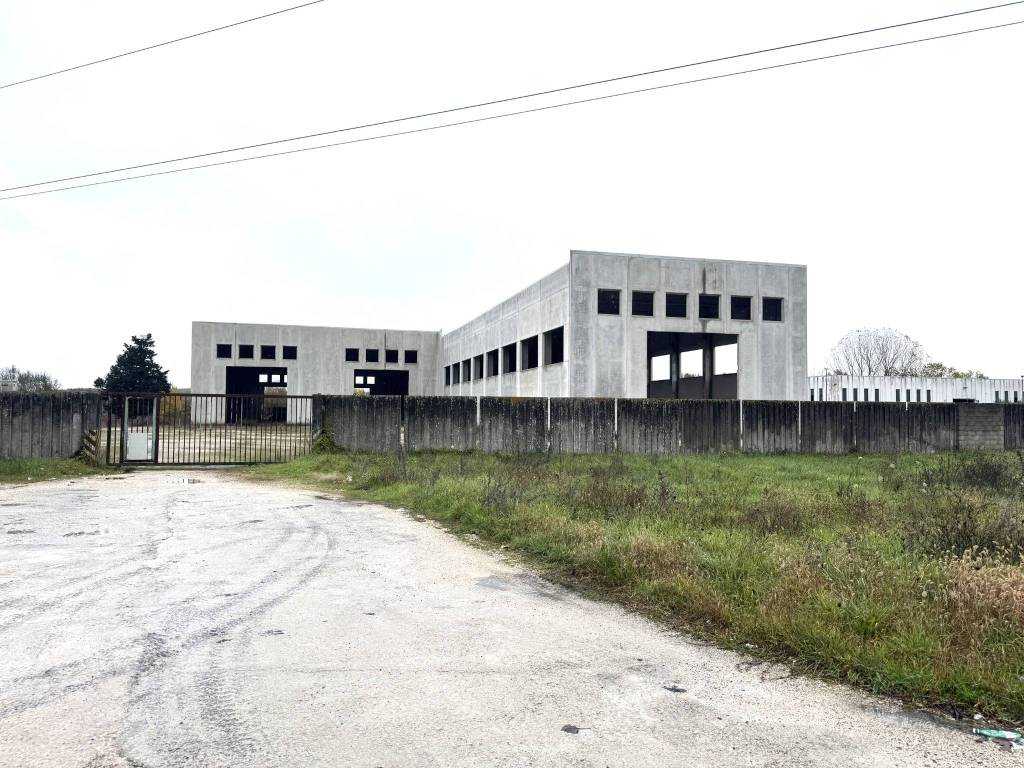 immagine annuncio 4 di 5