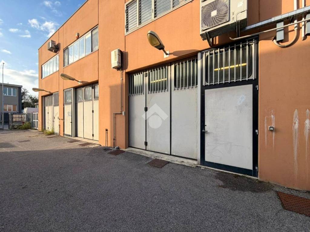 immagine annuncio 2 di 5