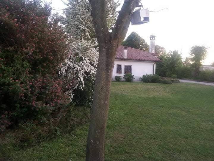 immagine annuncio 4 di 5