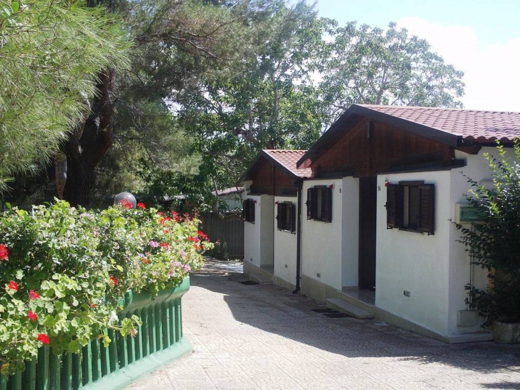 immagine annuncio 2 di 4