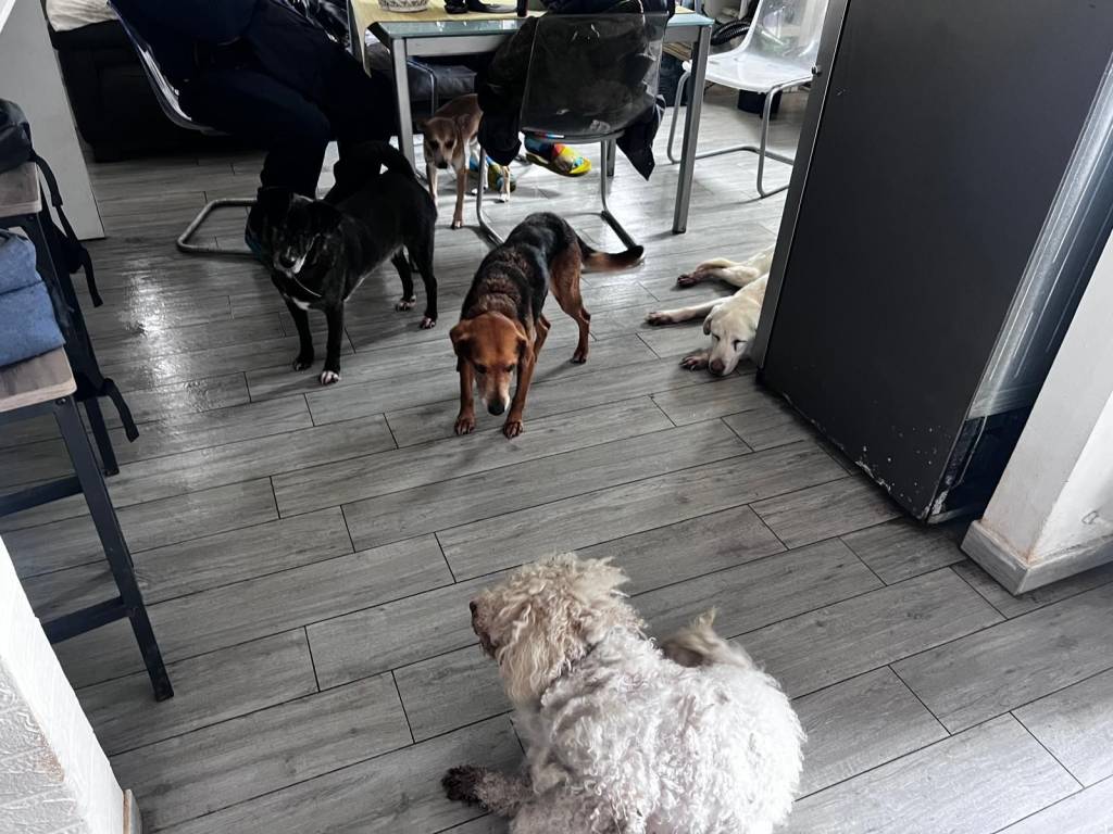 immagine annuncio 3 di 5