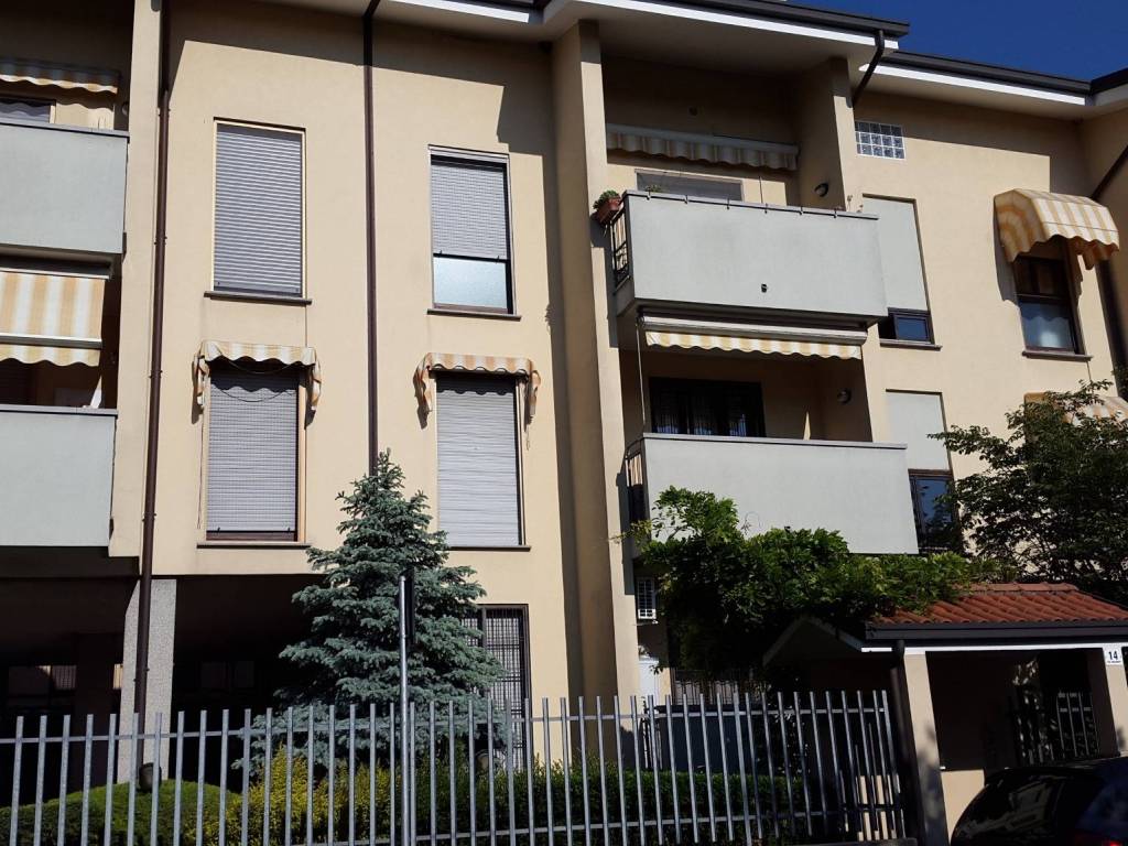 immagine annuncio 2 di 5