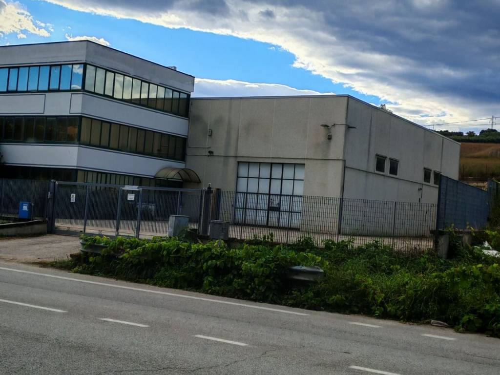 immagine annuncio 1 di 2