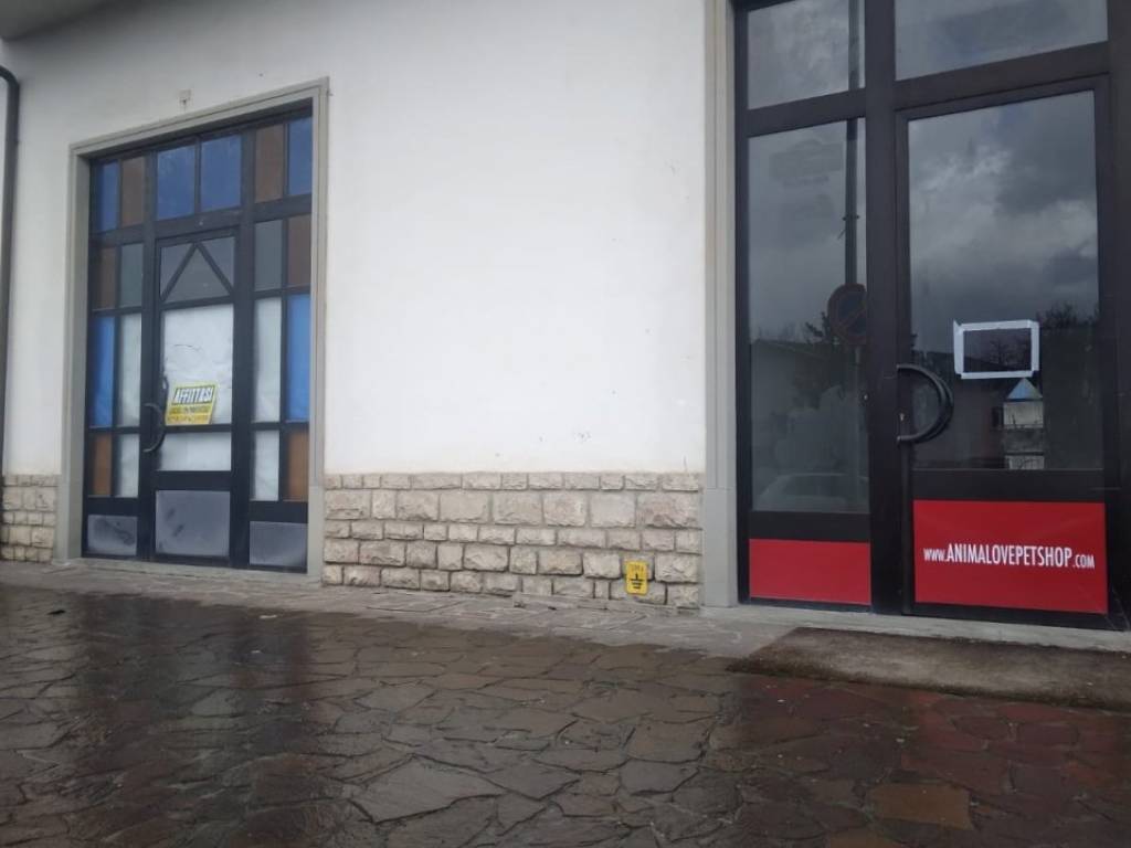 immagine annuncio 1 di 2