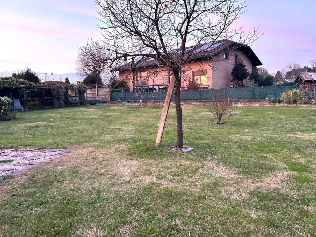 immagine annuncio 3 di 5