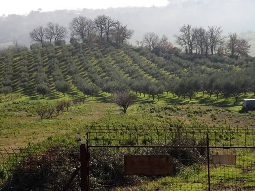 immagine annuncio 2 di 3