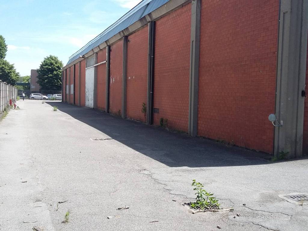 immagine annuncio 2 di 5