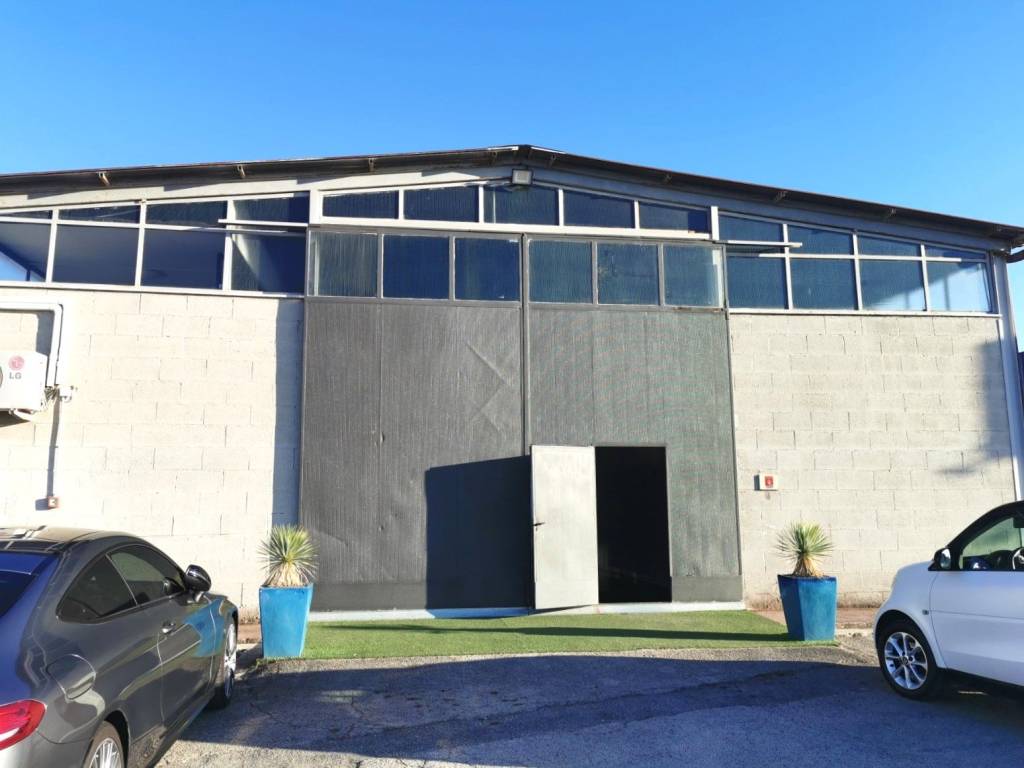 immagine annuncio 2 di 5