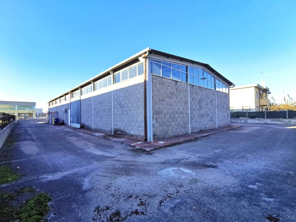 immagine annuncio 4 di 5