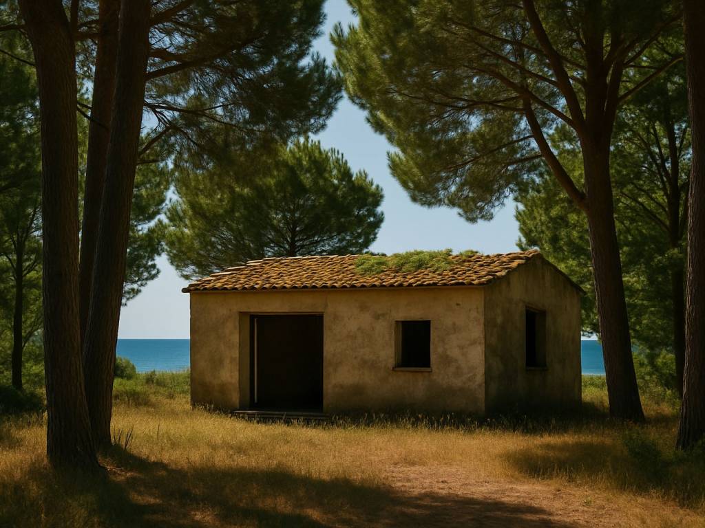 immagine annuncio 1 di 2